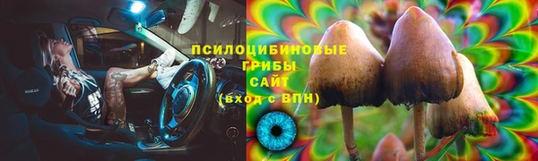 стаф Белокуриха