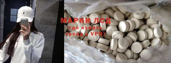 стаф Нея