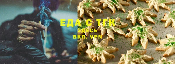 гашик Заполярный