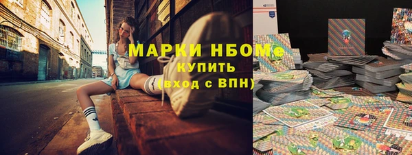 стаф Нея