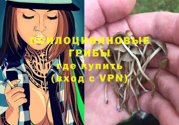 гидропоника Новокубанск