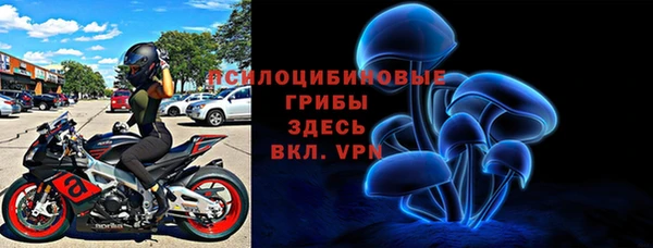 дмт Богородицк