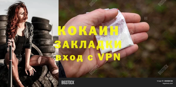 прущие крисы Новозыбков
