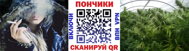 МАРИХУАНА индика  Катав-Ивановск 